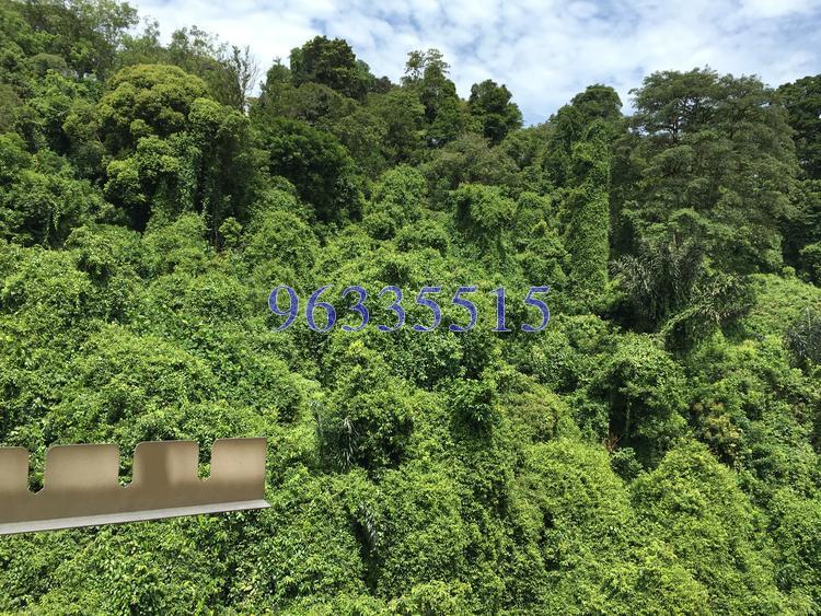 Blk 31 Telok Blangah Rise (Bukit Merah), HDB 3 Rooms #121668142